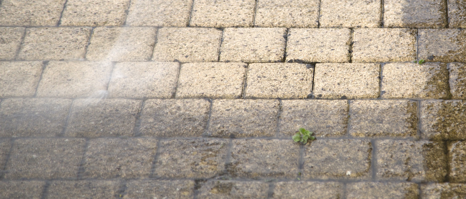 flagging and patios TW19