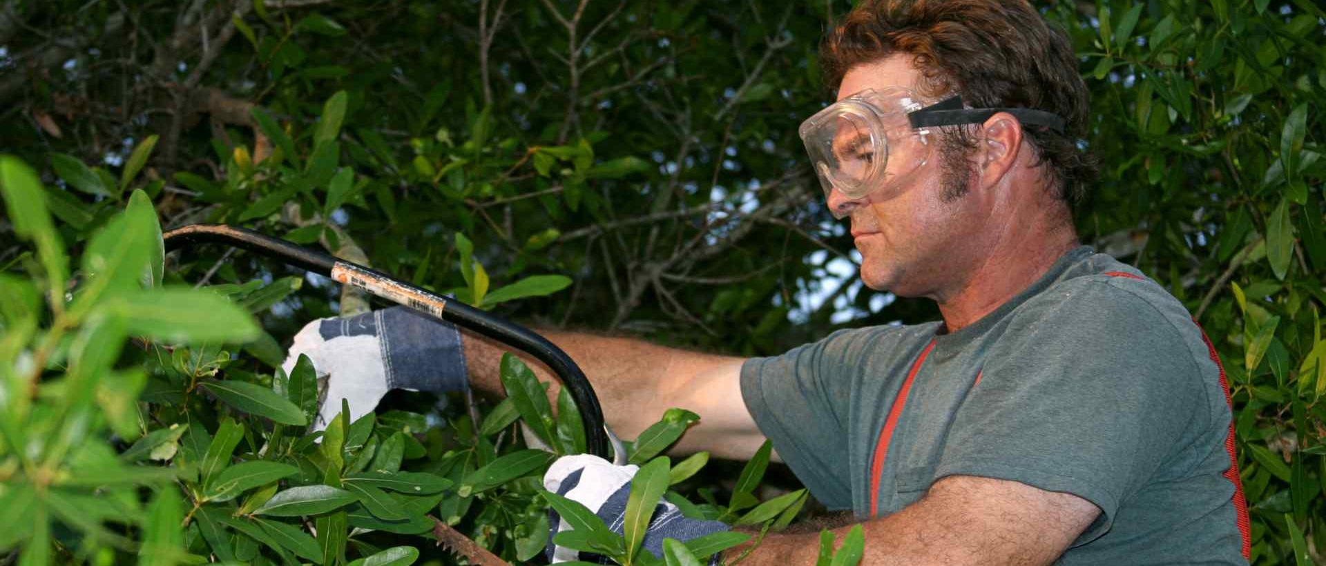 garden clearance TW19